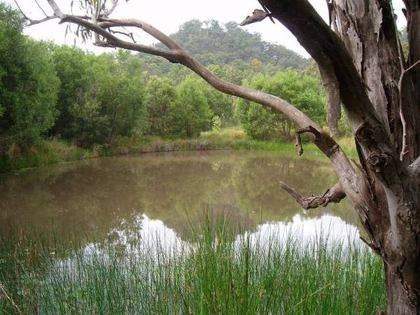 Orara River Land Picture 2