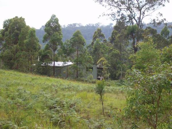 Orara River Land Picture 3