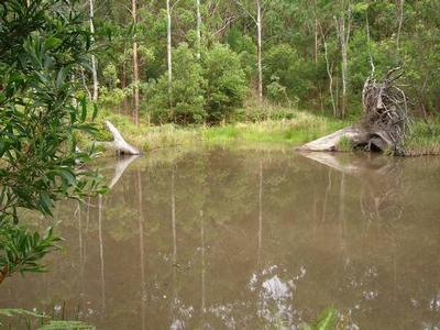 Orara River Land Picture