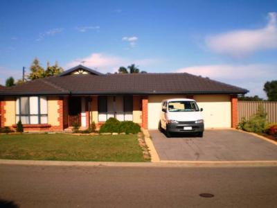 Potential Plus Picture Potential Plus Picture