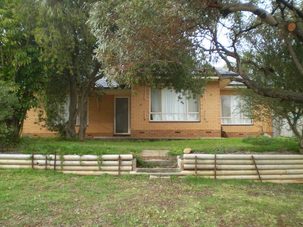 Neat 3 Bedroom Home Picture 3