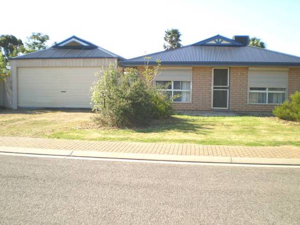 Gardners & Astute Buyers Look Here Picture 1