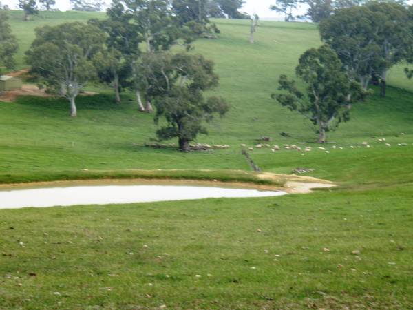 Rare Opportunity Picture 3