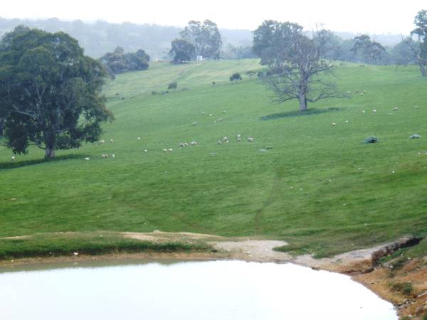 Rare Opportunity Picture 2