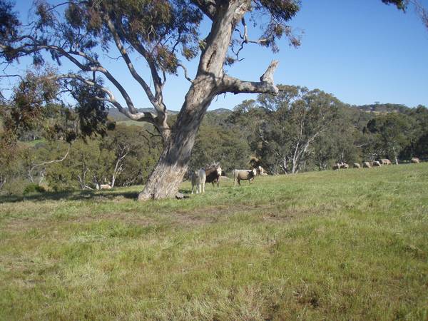 Lifestyle Opportunity Picture 3