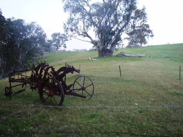 Lifestyle Opportunity Picture 1