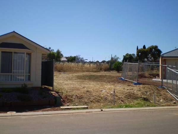 START BUILDING TODAY Picture 1