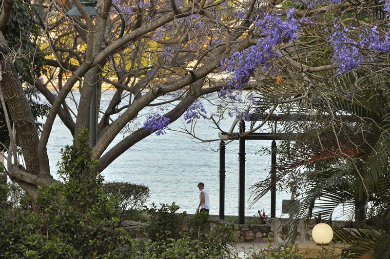 Exquisite Bridgewater Beauty - Sold Unconditionally Picture 1