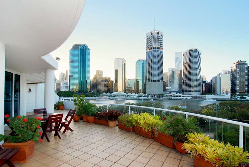 BIG, BOLD & BEAUTIFUL - SOLD FOR A RECORD PRICE BY BRENT COMPTON Picture 2