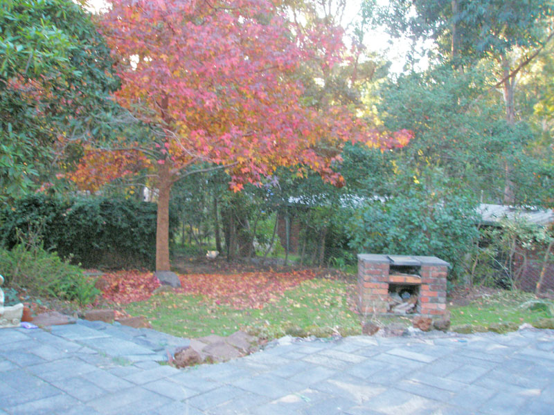 Hillside Beauty Picture 2