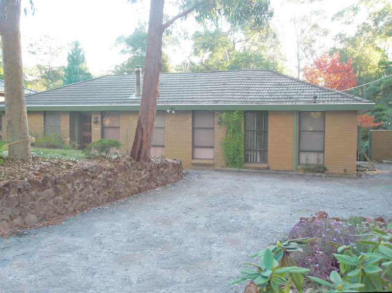 Hillside Beauty Picture 1