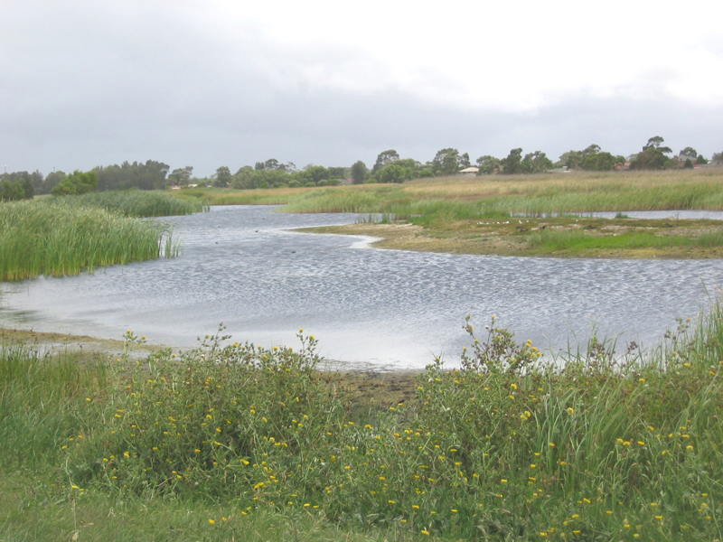 Great Time to Buy For First Home Buyers!!! Picture 2