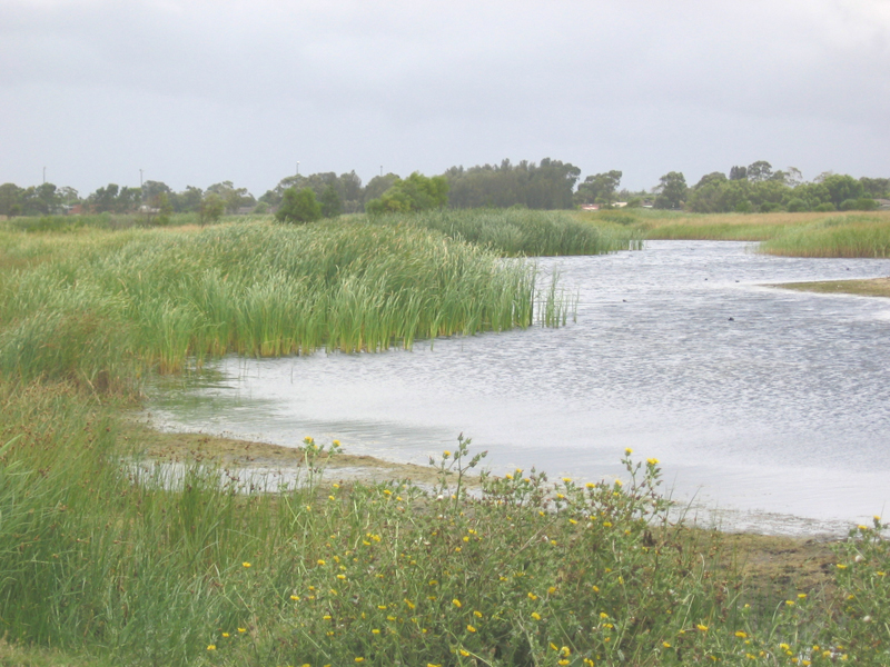 Lot 21 Irish Court, Bonbeach Picture 3