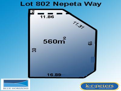 Lot 802 Nepita Way Picture