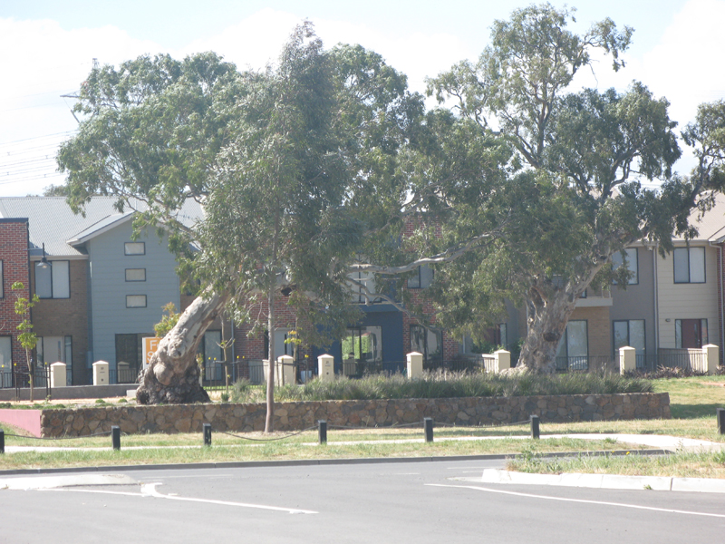 Brushwood Estate...Build Your Dream Home Picture