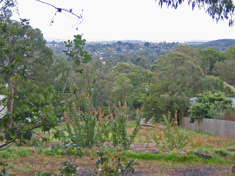 WHAT WOULD YOU PAY FOR THIS VIEW! Picture 1