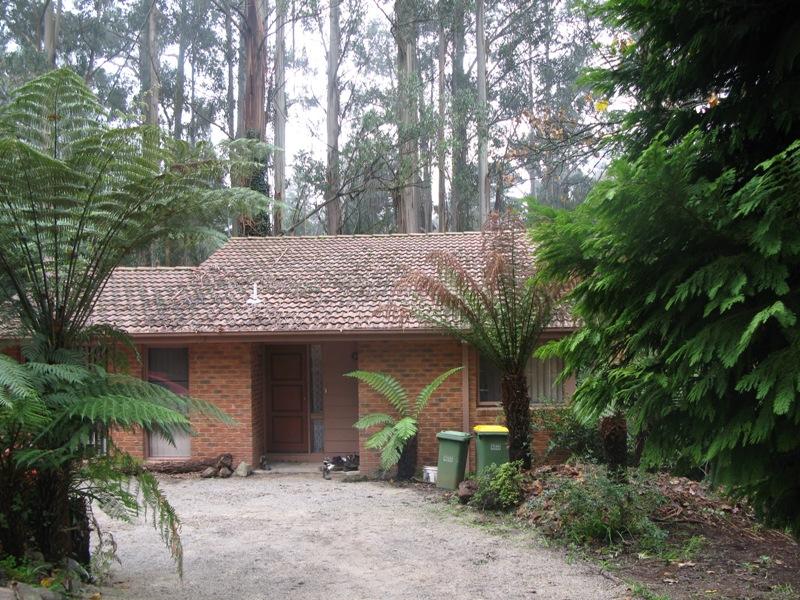 Hillside Beauty Picture 1