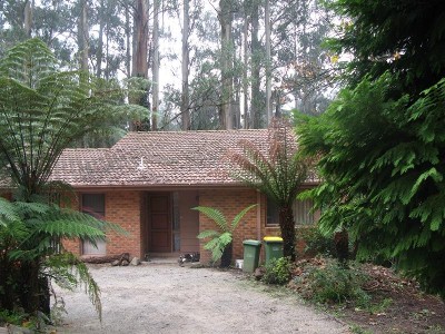 Hillside Beauty Picture Hillside Beauty Picture