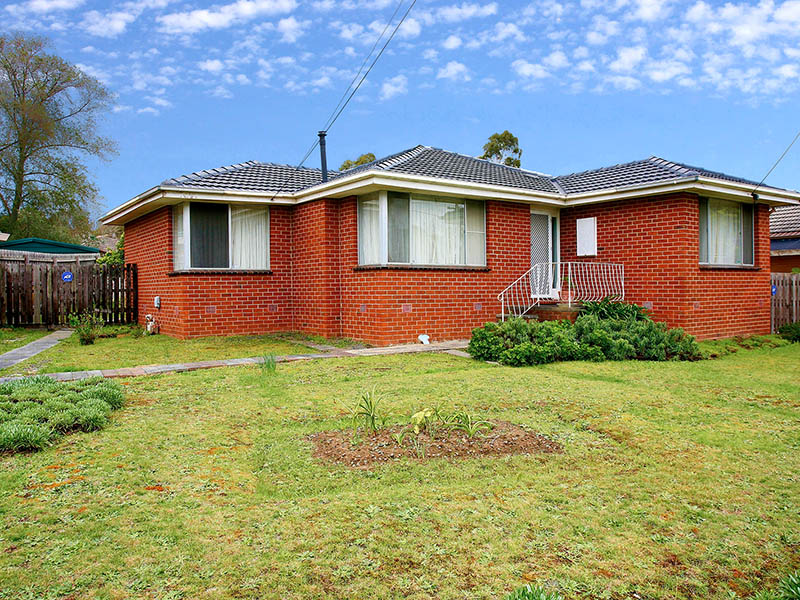 AUCTION THIS WEEK @ 11 AM Picture 1