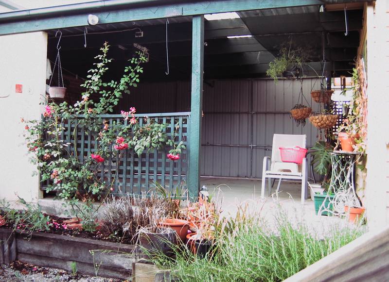 FIRST HOME BUYERS 'SPECIAL' Picture 3