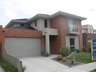 Stylish and Elegant Picture