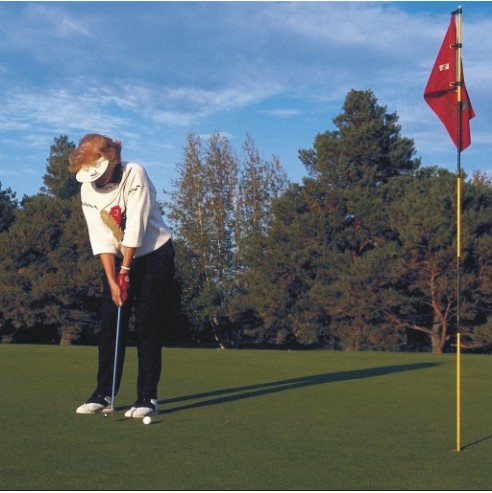 Irish Court - With Huge Stamp Duty Savings... Picture 3