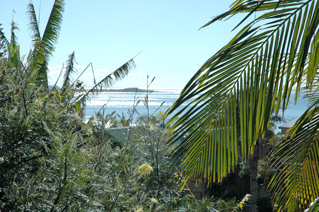 THE CREST 1 Picture 3