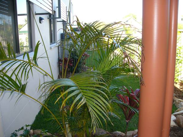 FIRST HOME BUYERS - ITS TIME! Picture 2