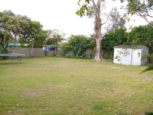 ROUGH DIAMOND NEEDS SOME POLISHING Picture