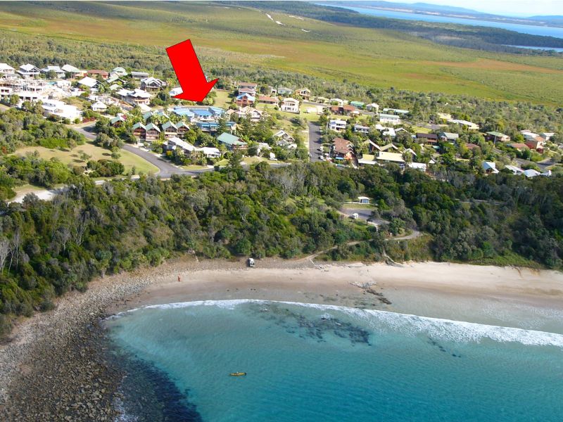 PICTURE PERFECT IN PARADISE Picture 2