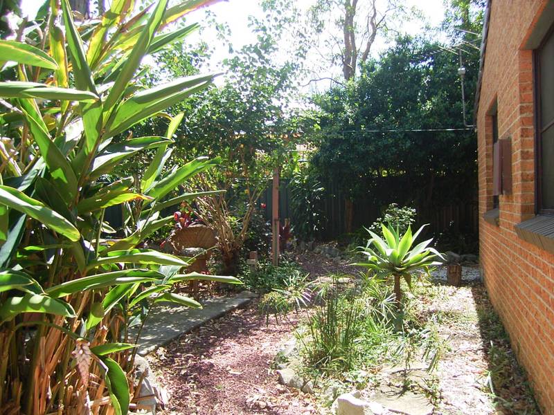 AVAILABLE NOW Picture 2