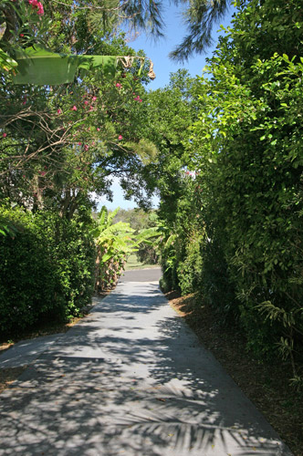 ANGOURIE BLUE 7 Picture 3