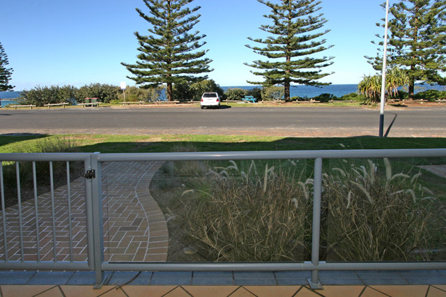 BLUE PACIFIC 1 Picture 3