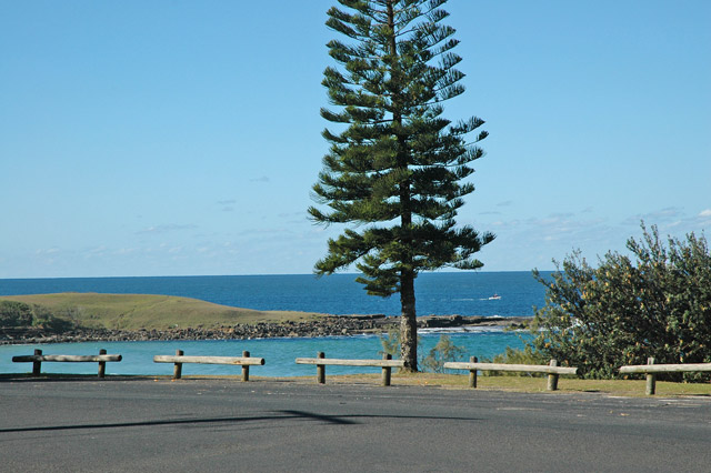 BLUE PACIFIC 1 Picture 2