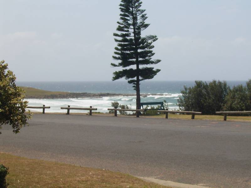 BLUE PACIFIC 2 Picture 2