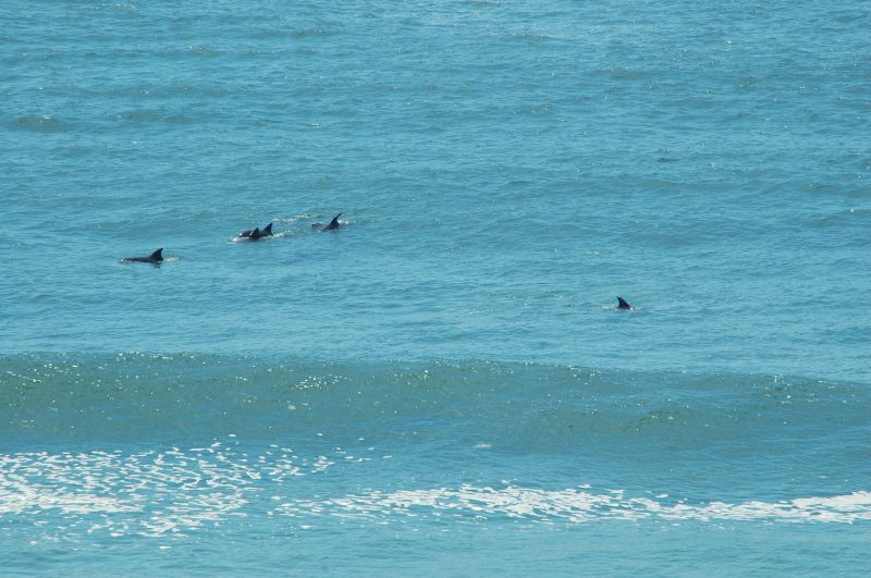 BOOROLONG 1 Picture 3