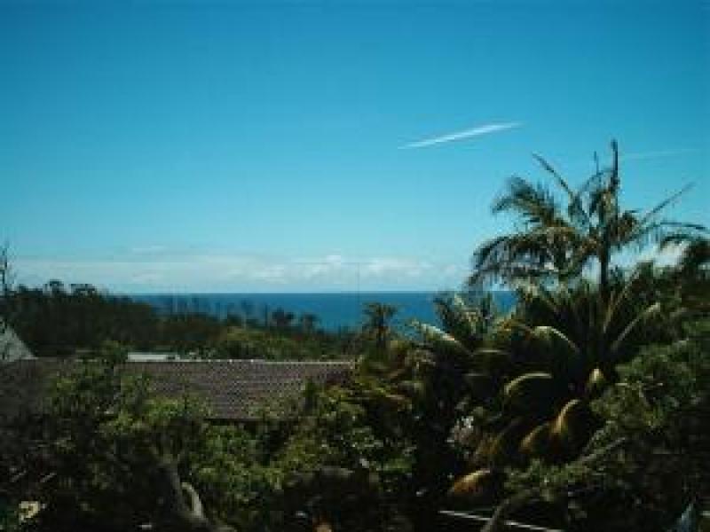 SEA BREEZE Picture 2