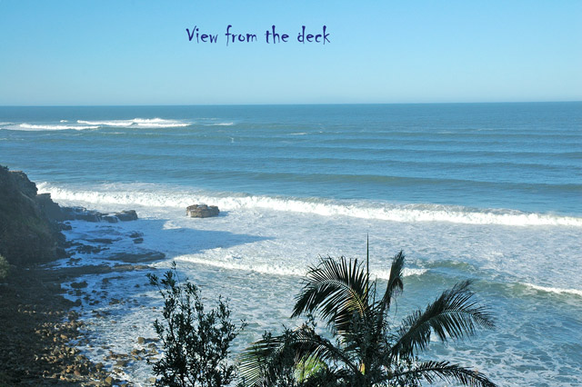 SHEARWATER 2 Picture 3