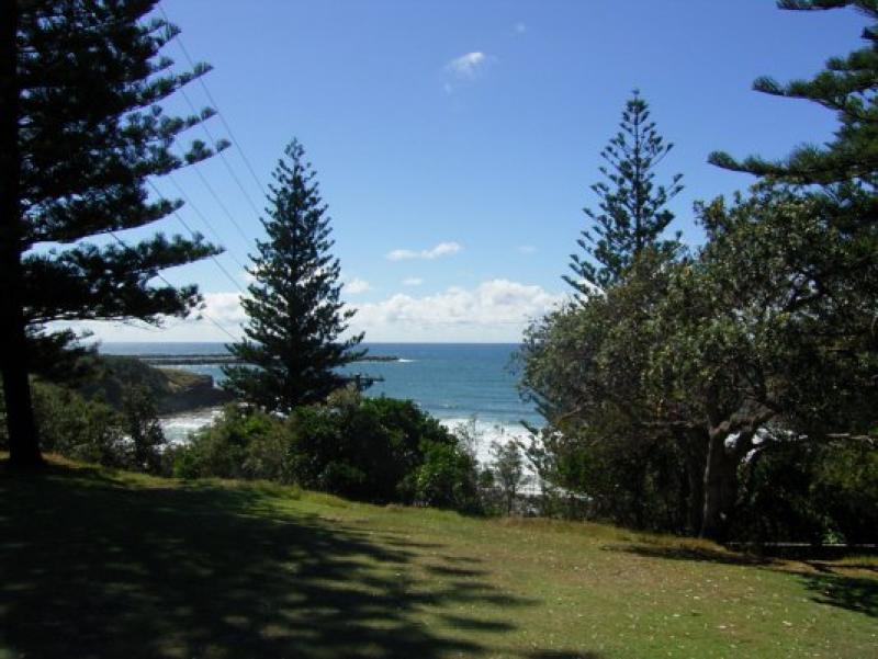 Twin Dolphins Picture 2