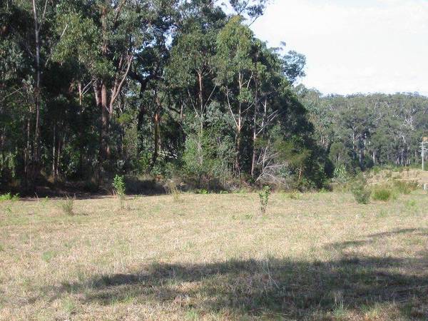 ASHBY HEIGHTS - NORTHERN NSW - SANCTUARY ALLOTMENTS Picture 1
