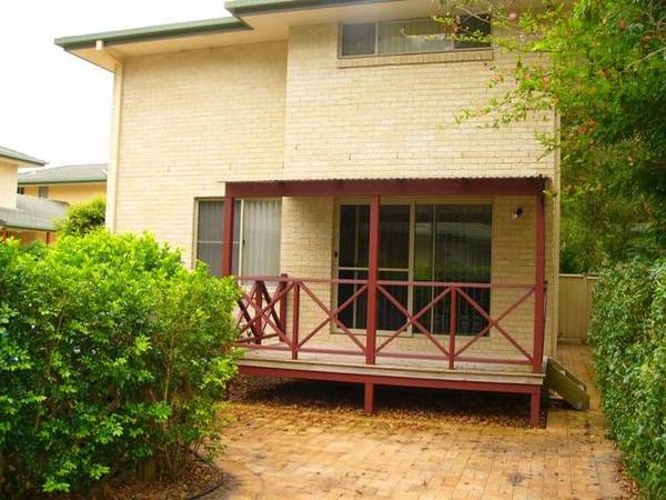 YAMBA DREAMING Picture 2