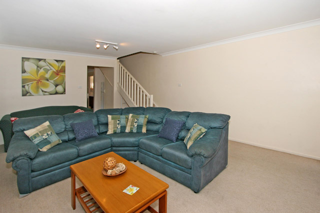 CLIPPERS 1 Picture 3