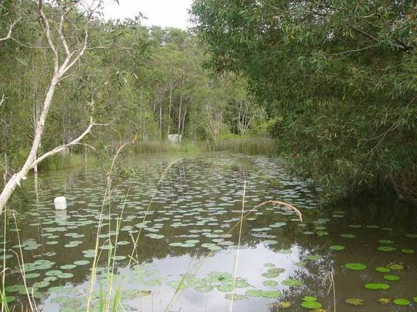 LIFESTYLE CHANGE, TOURIST RESORT TO FARMER, YOU CHOOSE Picture 3