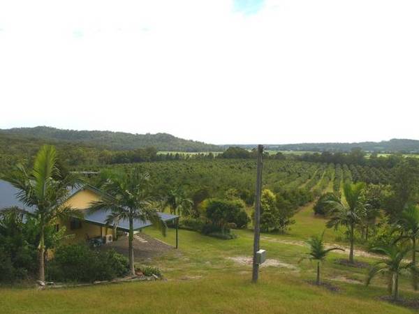 LIFESTYLE CHANGE, TOURIST RESORT TO FARMER, YOU CHOOSE Picture 2