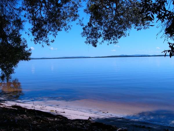 BUY NOW & BE THE BIG WINNER Picture 2