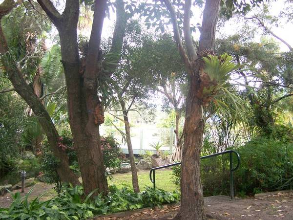 Botanical Park - Location, Location! Picture 3
