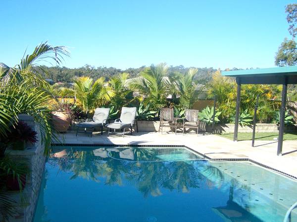 A Slice of Heaven! Picture