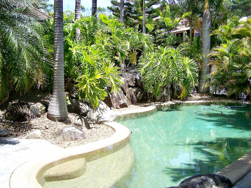 BIG, BOLD AND BEAUTIFUL!! Picture 2