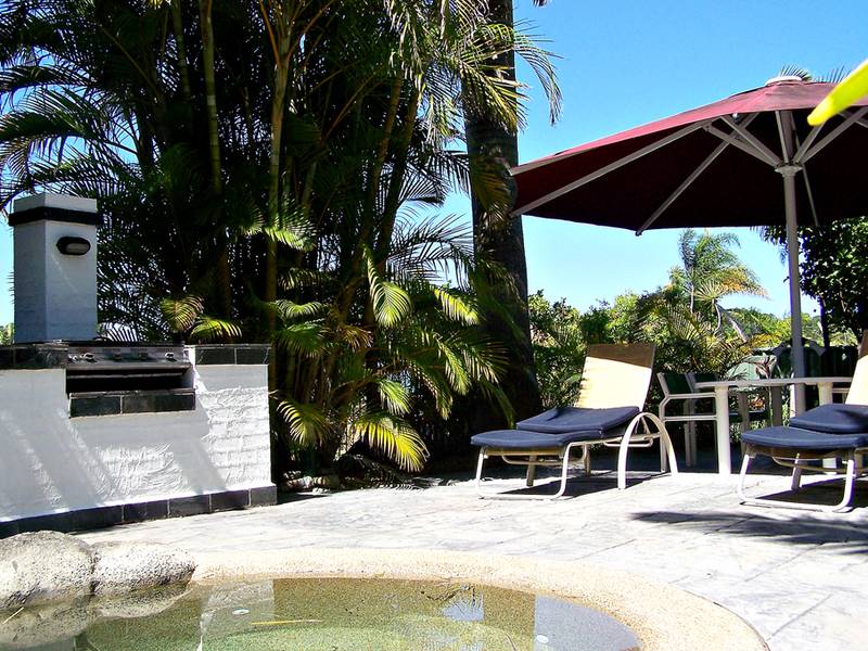 BIG, BOLD AND BEAUTIFUL!! Picture 3