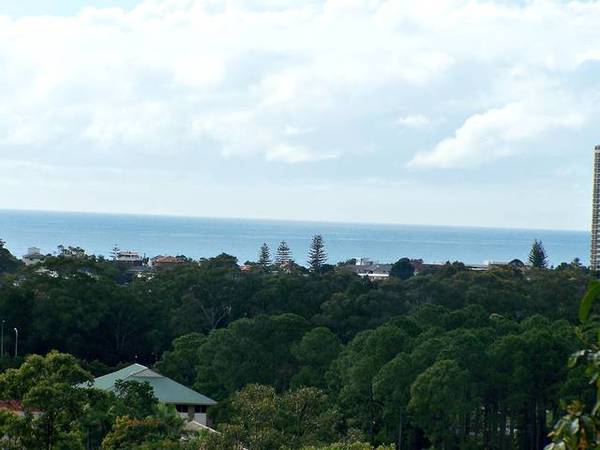 WOW What A View! Picture 1